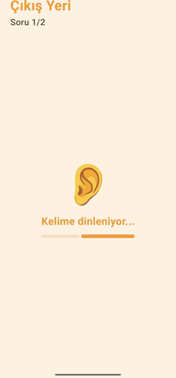 LinguaSense screenshot 2